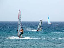 3 Hours ( half day ) Windsurfing